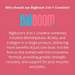 BigBoom 3-in-1 Creatine for strength, recovery, and joint support in one product - Buy now at MKPBR.COM - Worldwide Shipping